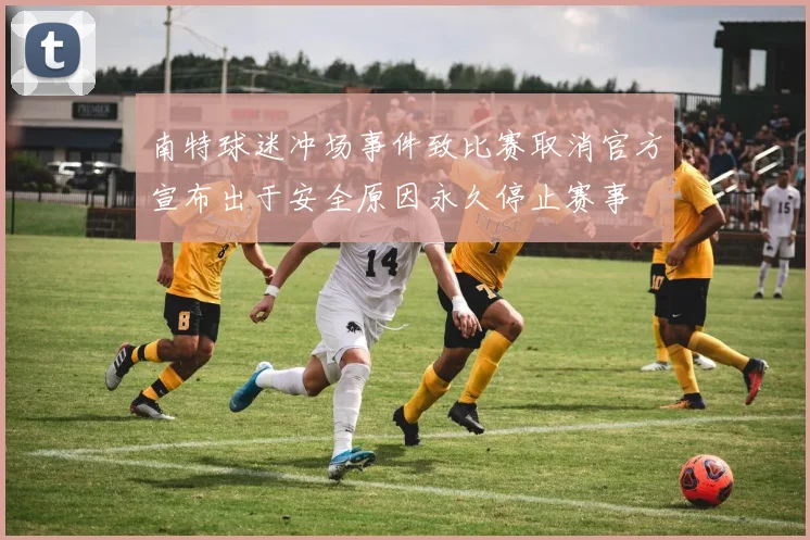 南特球迷冲场事件致比赛取消官方宣布出于安全原因永久停止赛事